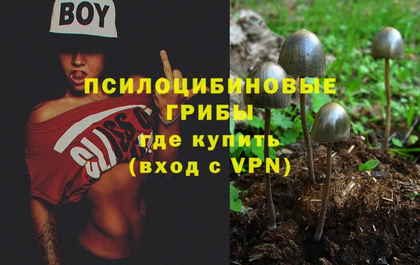 трава Богородицк