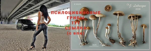 трава Богородицк