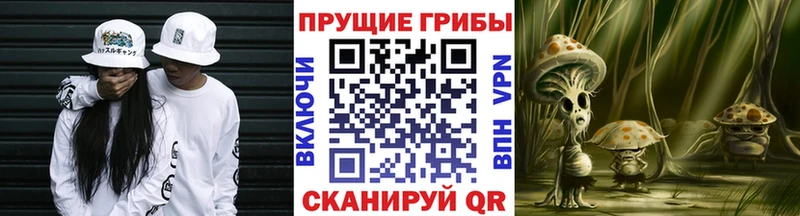 MEGA как войти  Кириллов  Галлюциногенные грибы прущие грибы 